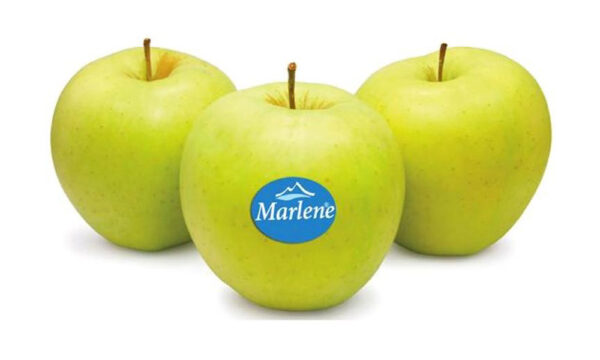 Manzana Golden - 0,5kg