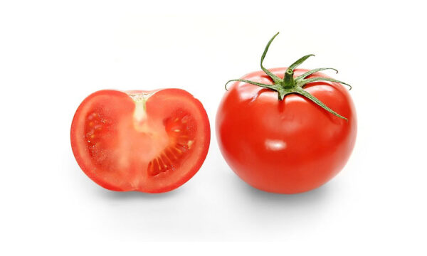 Tomate