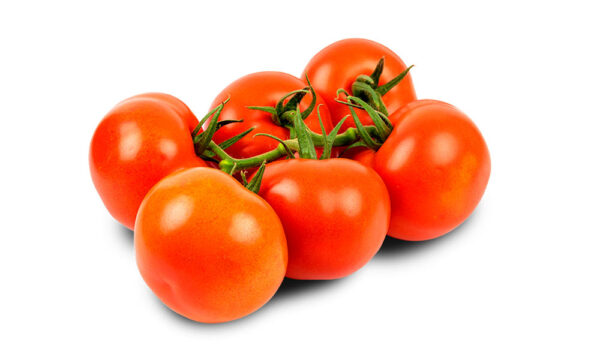 Tomate Rama - 1kg